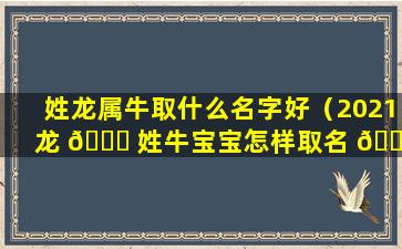 姓龙属牛取什么名字好（2021龙 🕊 姓牛宝宝怎样取名 🐅 字）